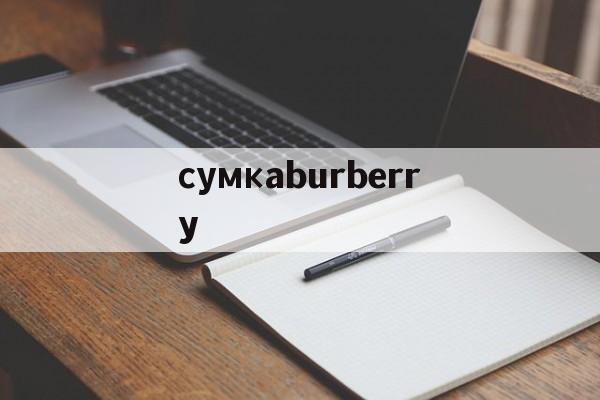 Реплики сумок известных брендов-сумкаburberry