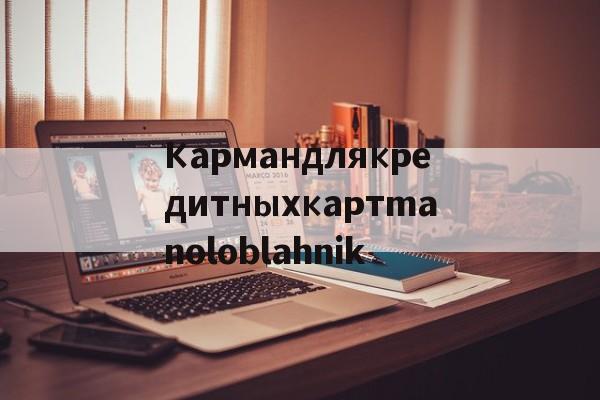 Купить копию брендовой сумки-Кармандлякредитныхкартmanoloblahnik