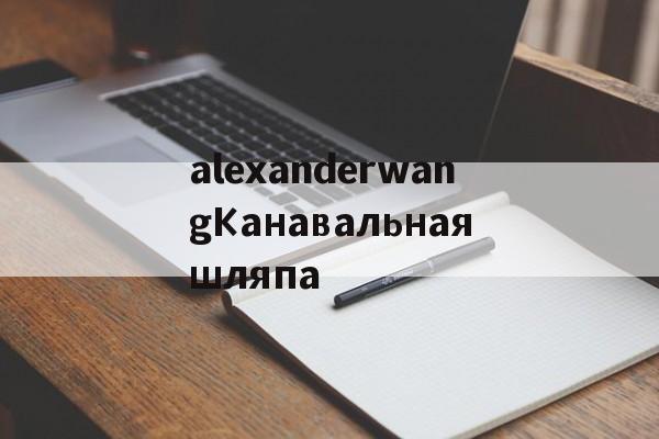 Копии магазин сумок-alexanderwangКанавальнаяшляпа