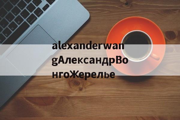 Купить копию сумки-alexanderwangАлександрВонгожерелье
