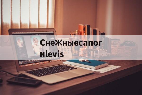 Реплики сумок известных брендов-Снежныесапогиlevis