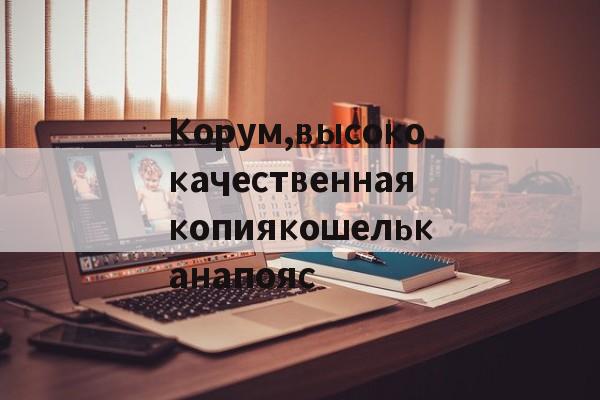 Реплики магазин сумок-Корум,высококачественнаякопиякошельканапояс