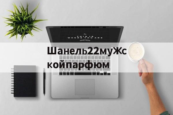 Реплики сумок известных брендов-Шанель22мужскойпарфюм