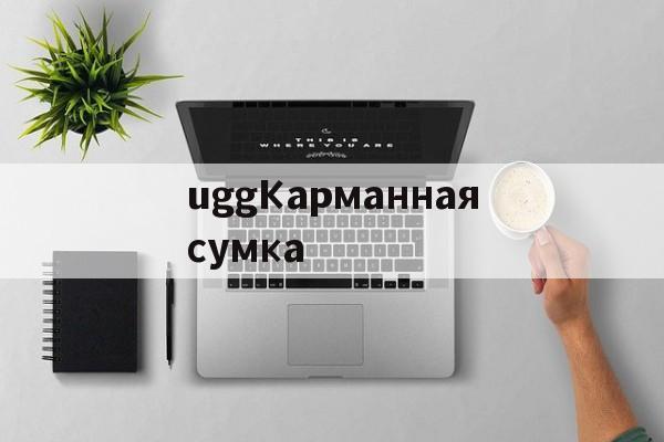 Копии магазин сумок-uggКарманнаясумка
