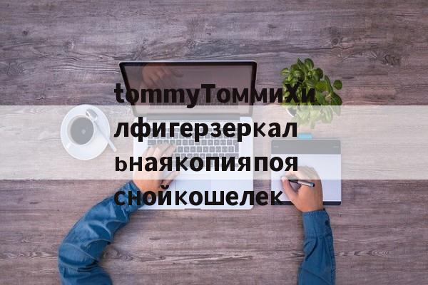 Копии сумок известных брендов интернет-магазин-tommyТоммиХилфигерзеркальнаякопияпояснойкошелек