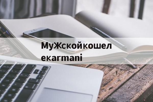 Копии сумок из натуральной кожи-Мужскойкошелекarmani